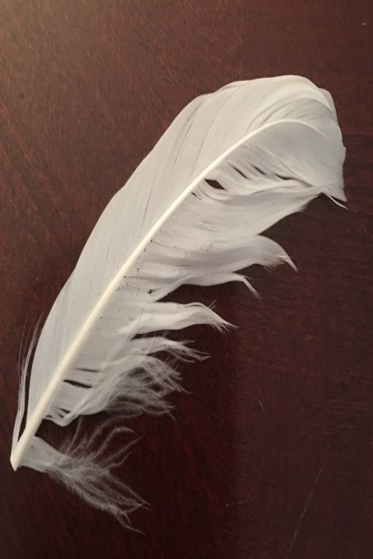 Angel Feather